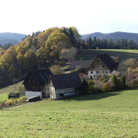 Ferienwohnung Hofenhof Schiltach Exterior foto